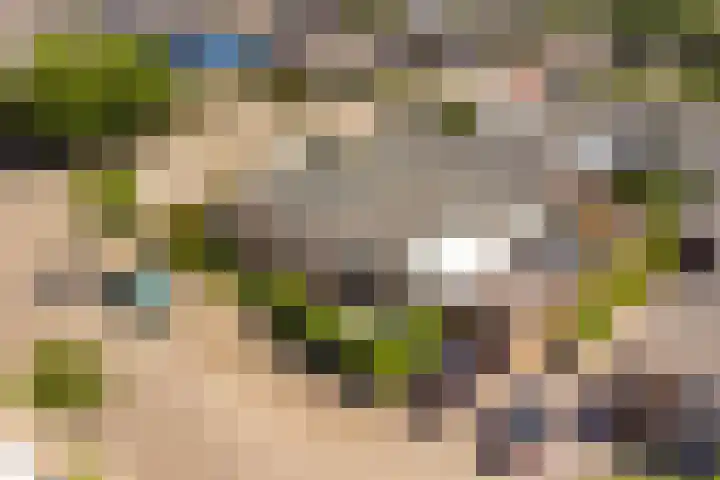 Weerdestein 50 Ede thumbnail 30