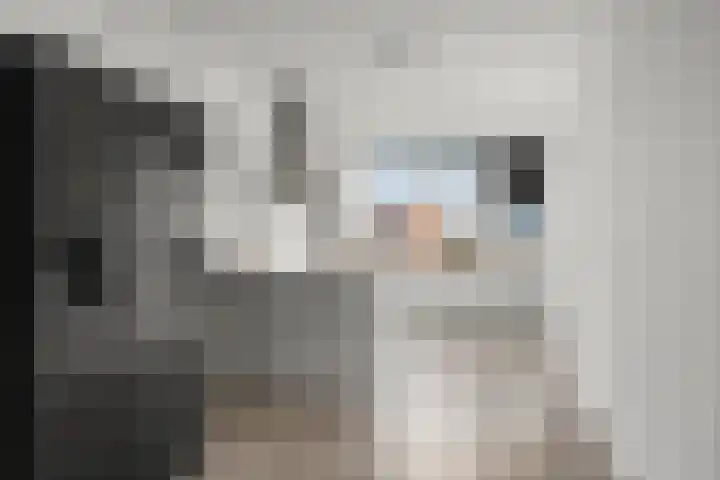 Weerdestein 61 Ede thumbnail 10