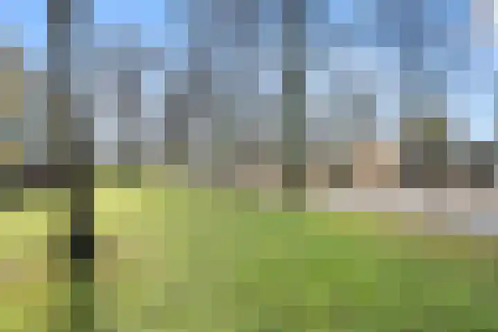 Weerdestein 61 Ede thumbnail 27