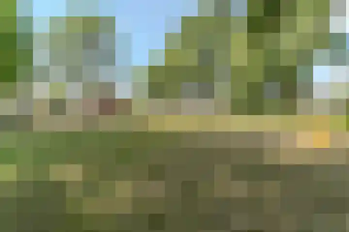 Weerdestein 73 Oosterhout thumbnail 44