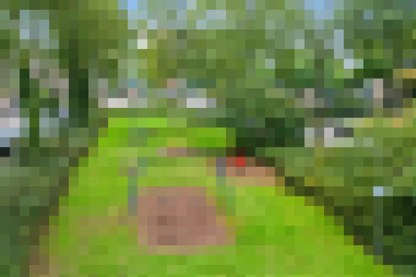 Weerdestein 83 Ede thumbnail 32