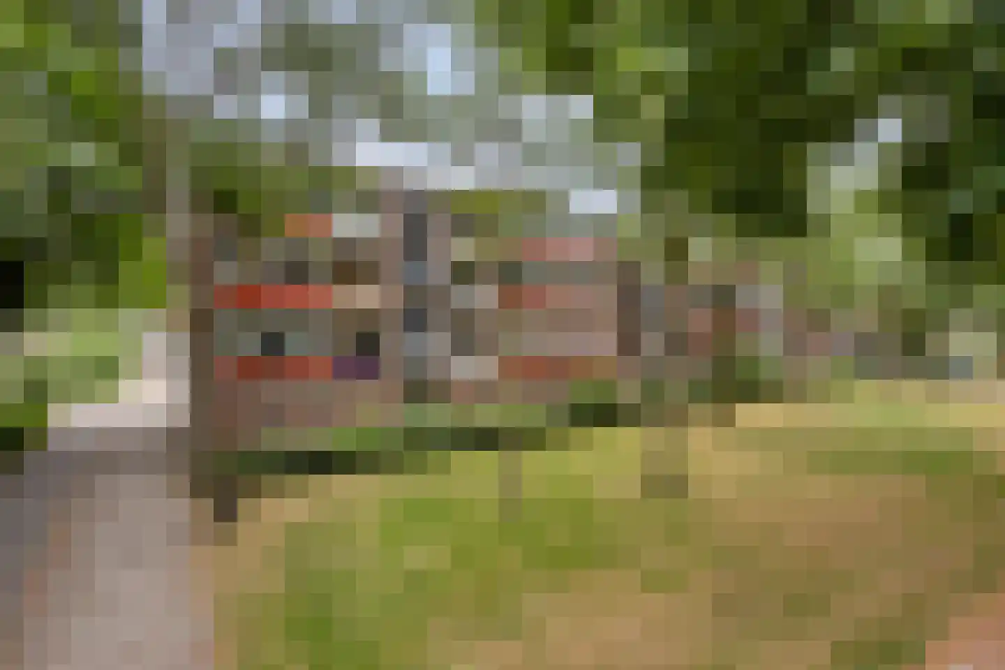 Weerdestein 89 Ede thumbnail 26