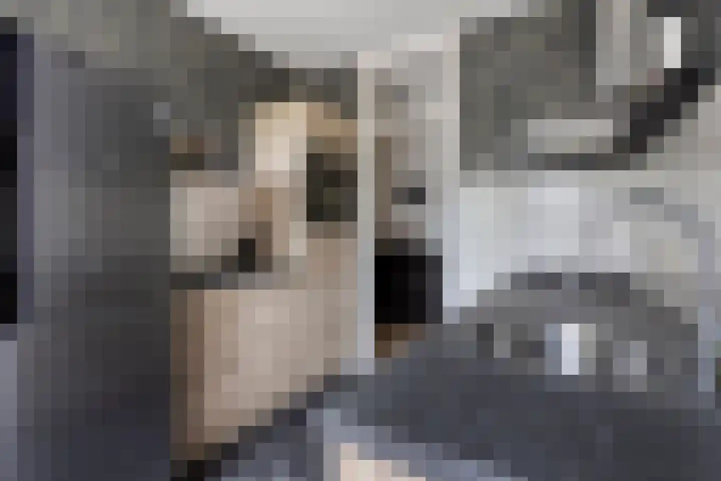 Weerdestein 89 Ede thumbnail 7