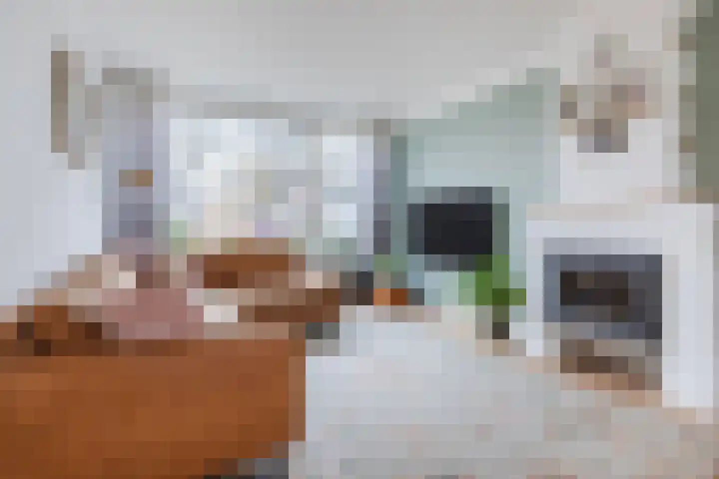 Weerdesteinstraat 17 Breda thumbnail 4