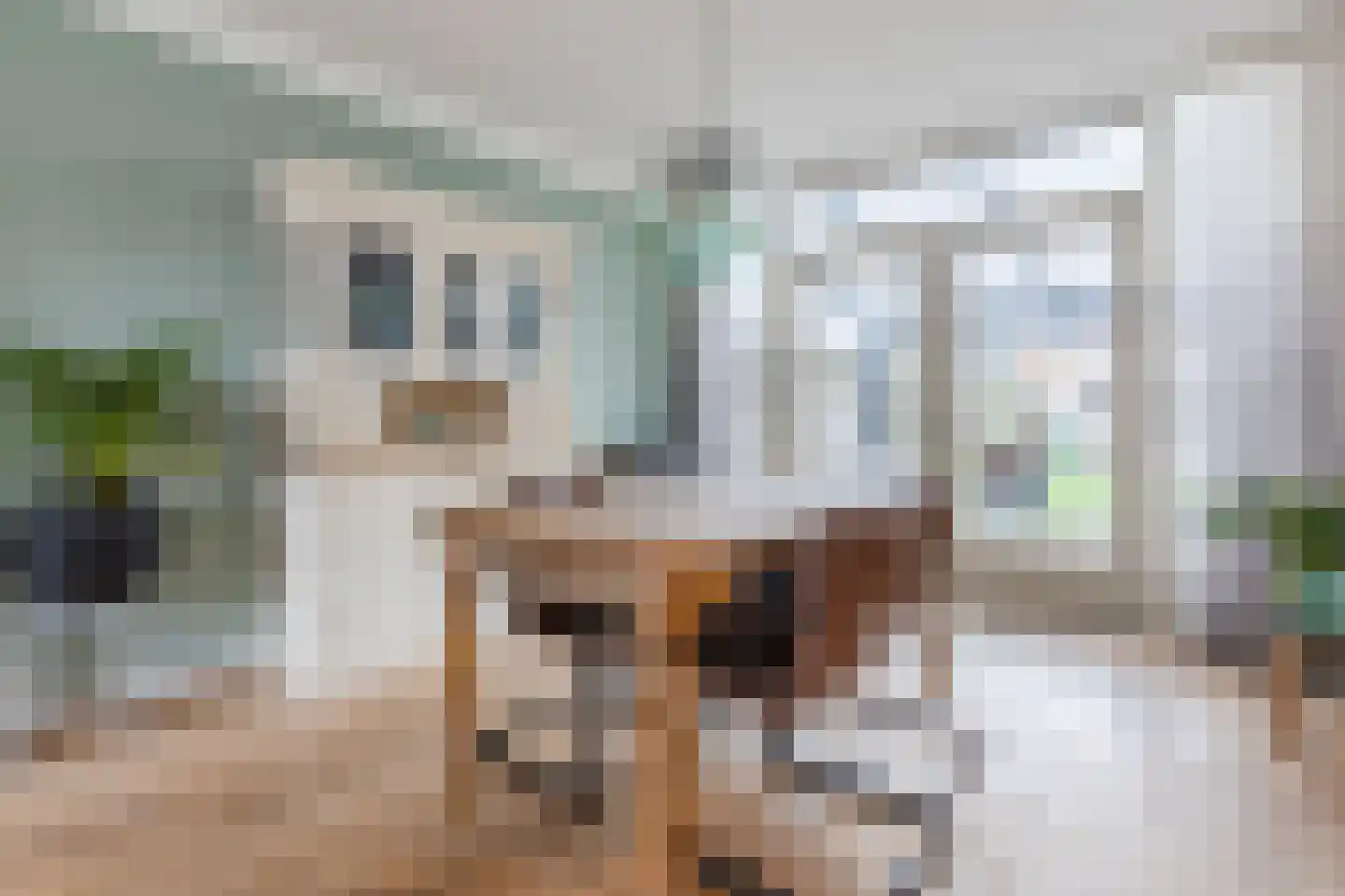 Weerdesteinstraat 17 Breda thumbnail 7