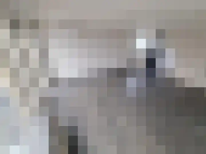 Weerdesteynstraat 34 Rotterdam thumbnail 4