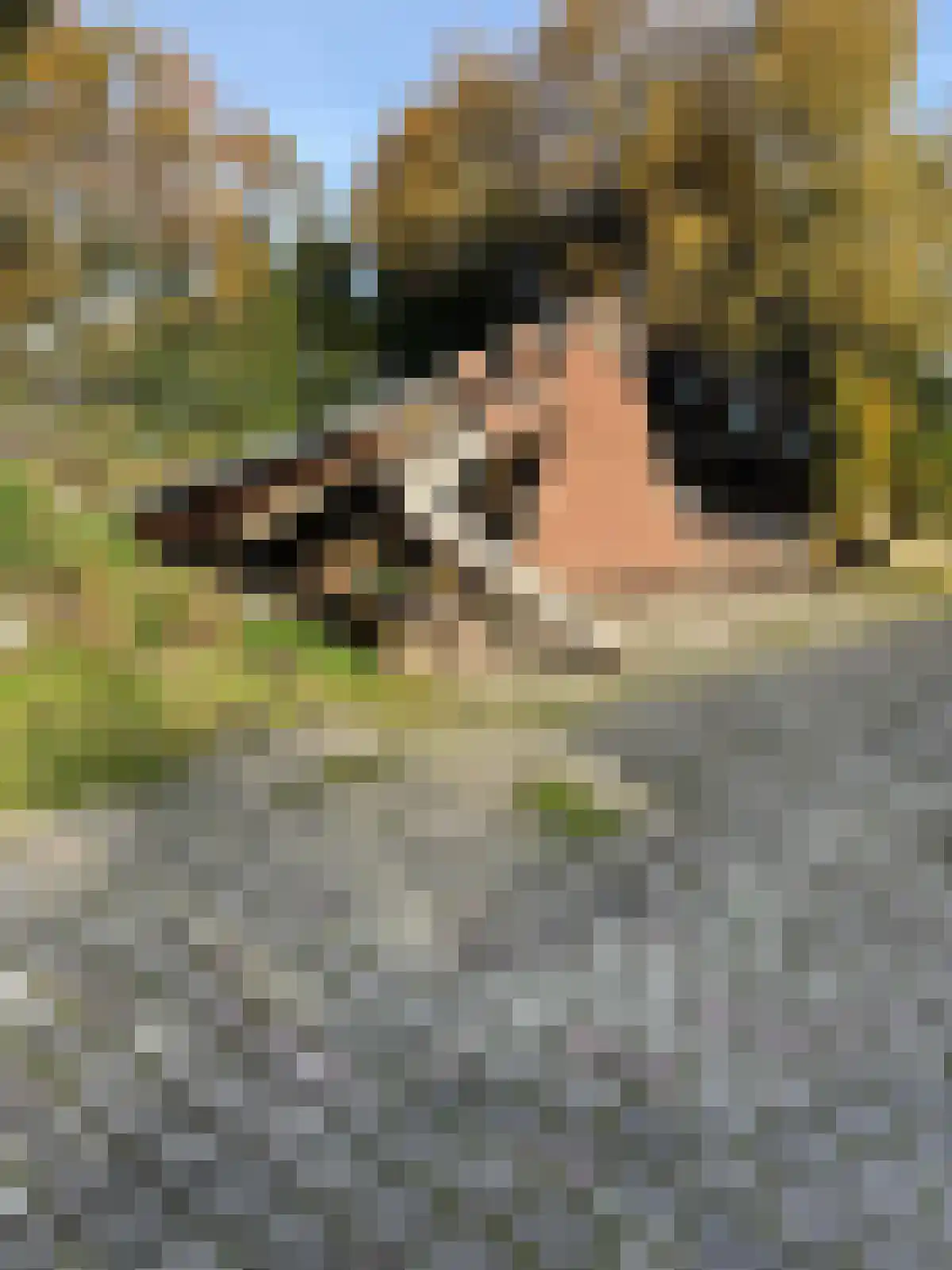 Weerdingerkanaal NZ 242 Nieuw-Weerdinge thumbnail 7