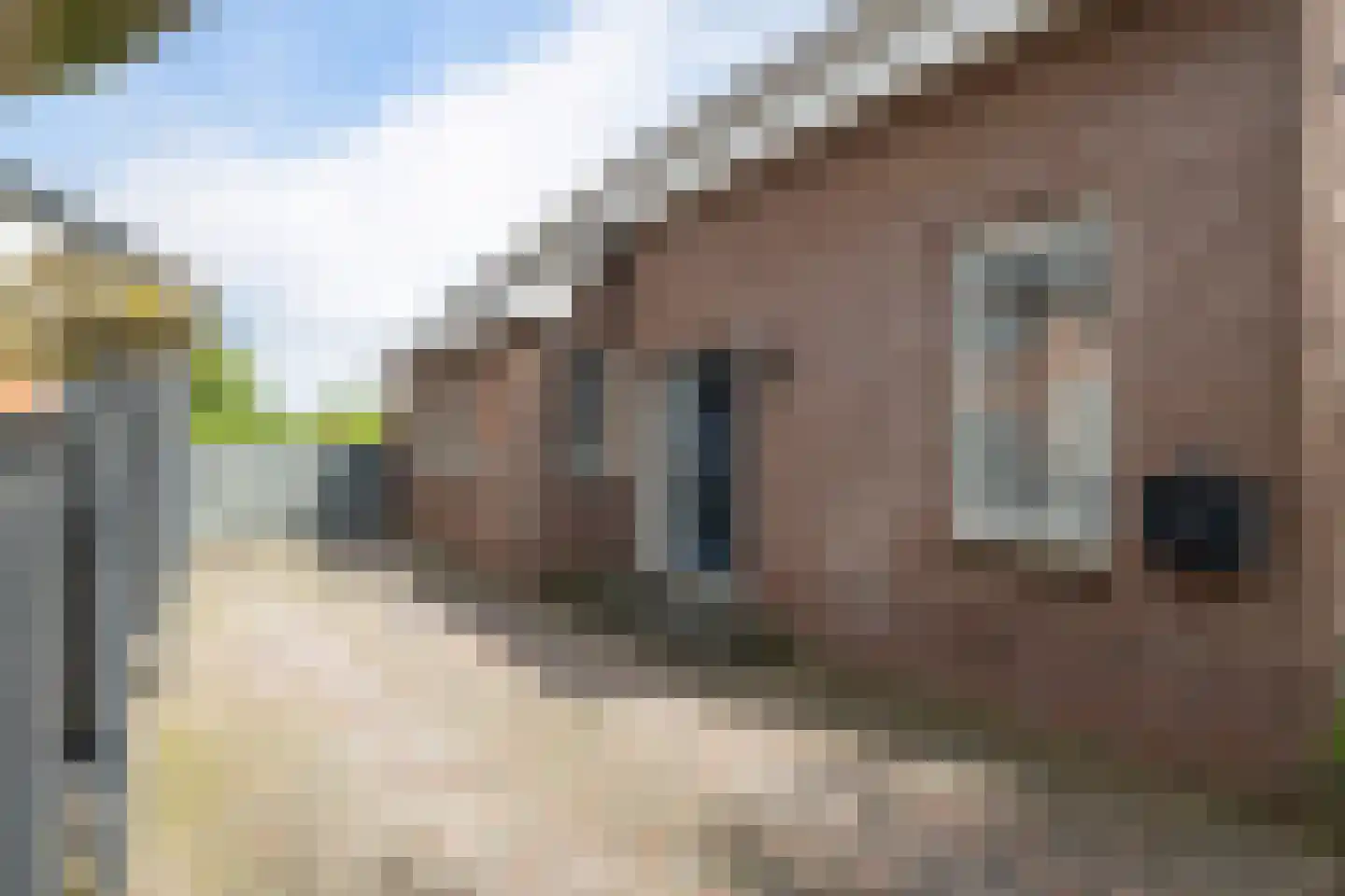 Weerdingerkanaal NZ 44 Nieuw-Weerdinge thumbnail 36