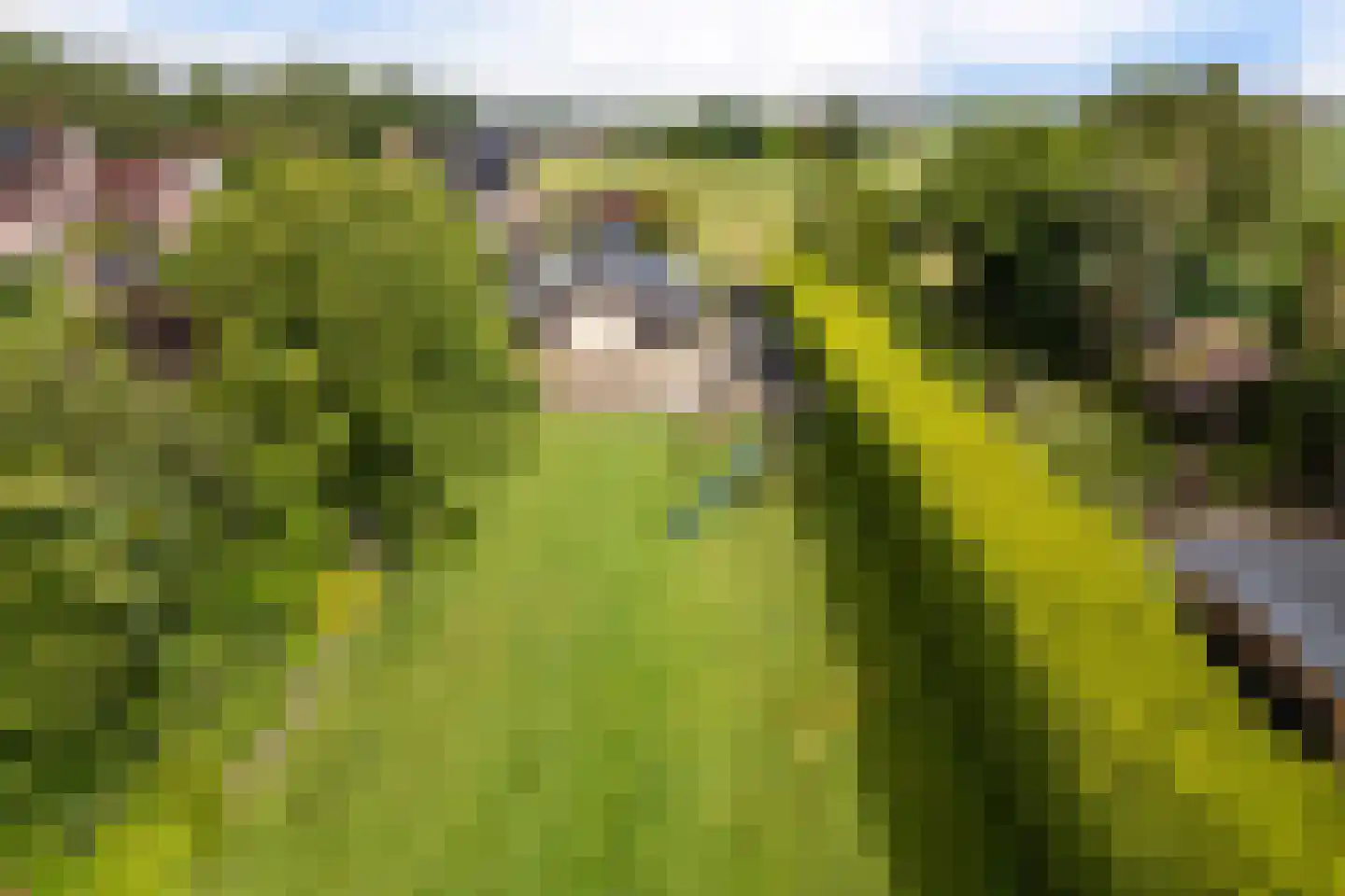 Weerdingerkanaal NZ 44 Nieuw-Weerdinge thumbnail 45