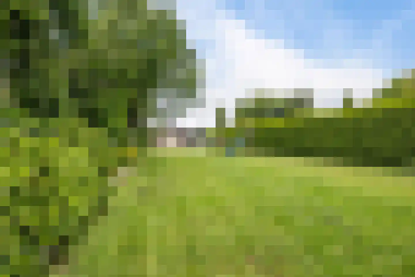 Weerdingerkanaal NZ 44 Nieuw-Weerdinge thumbnail 6