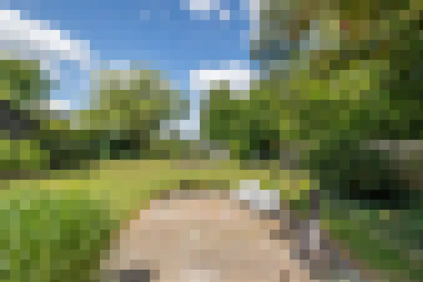 Weerdingerkanaal NZ 49 Nieuw-Weerdinge thumbnail 37