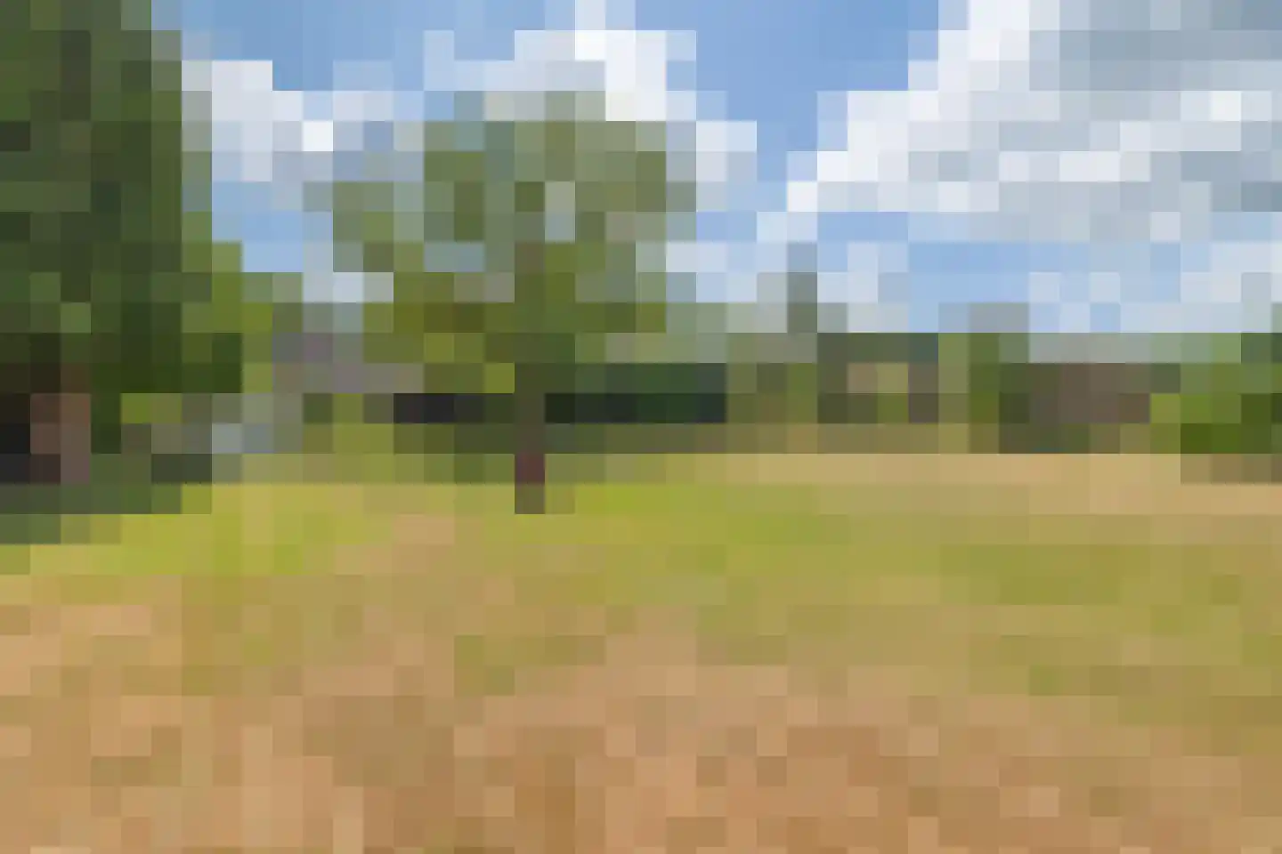 Weerdingerkanaal NZ 49 Nieuw-Weerdinge thumbnail 41