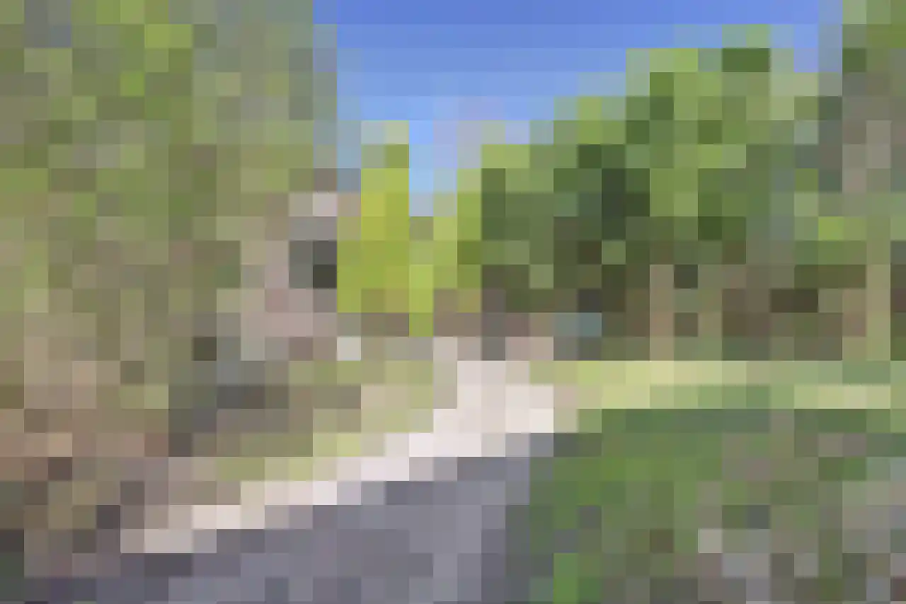 Weerdingerkanaal NZ 56 Nieuw-Weerdinge thumbnail 50