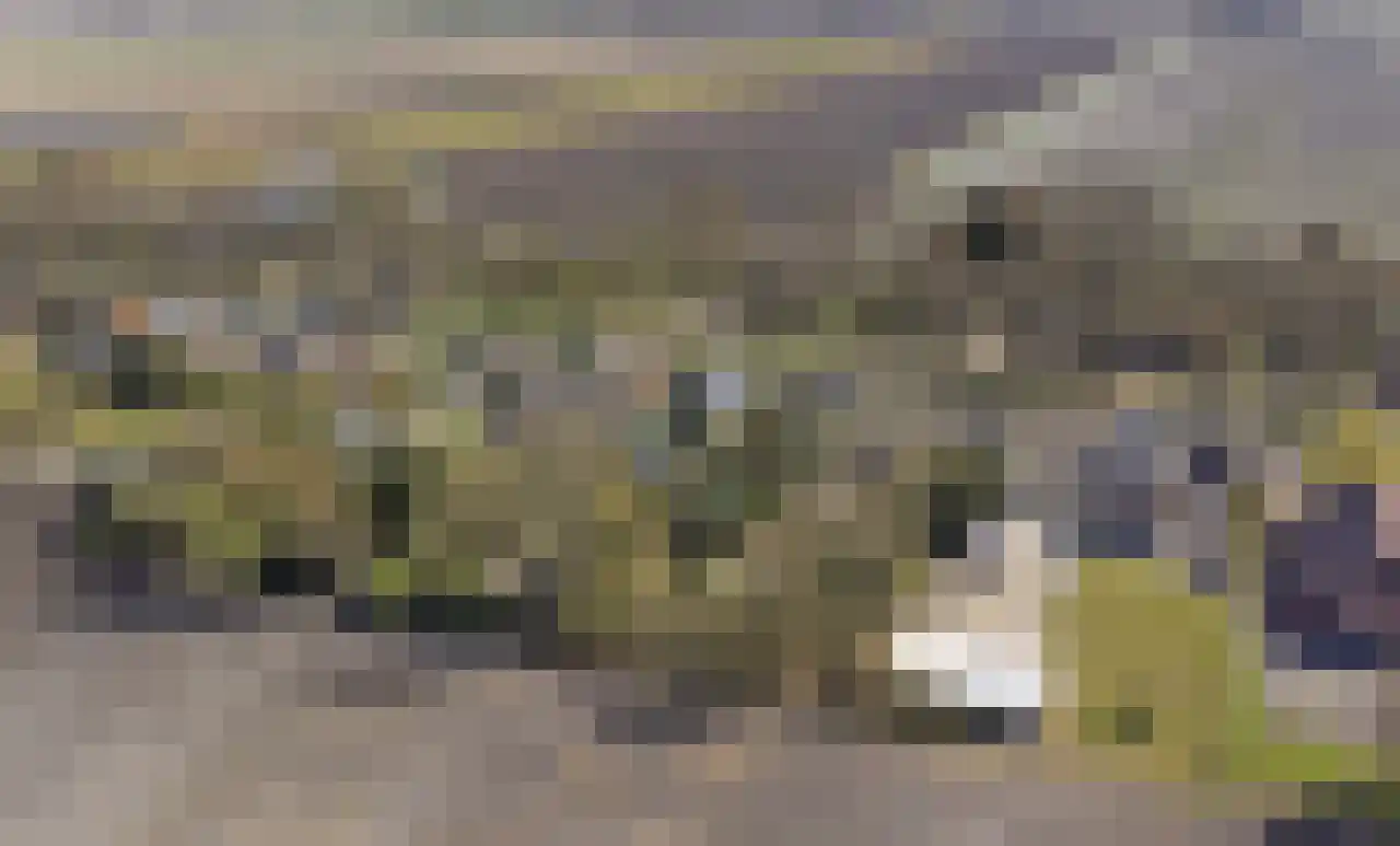 Weerdingerkanaal NZ 56 Nieuw-Weerdinge thumbnail 60