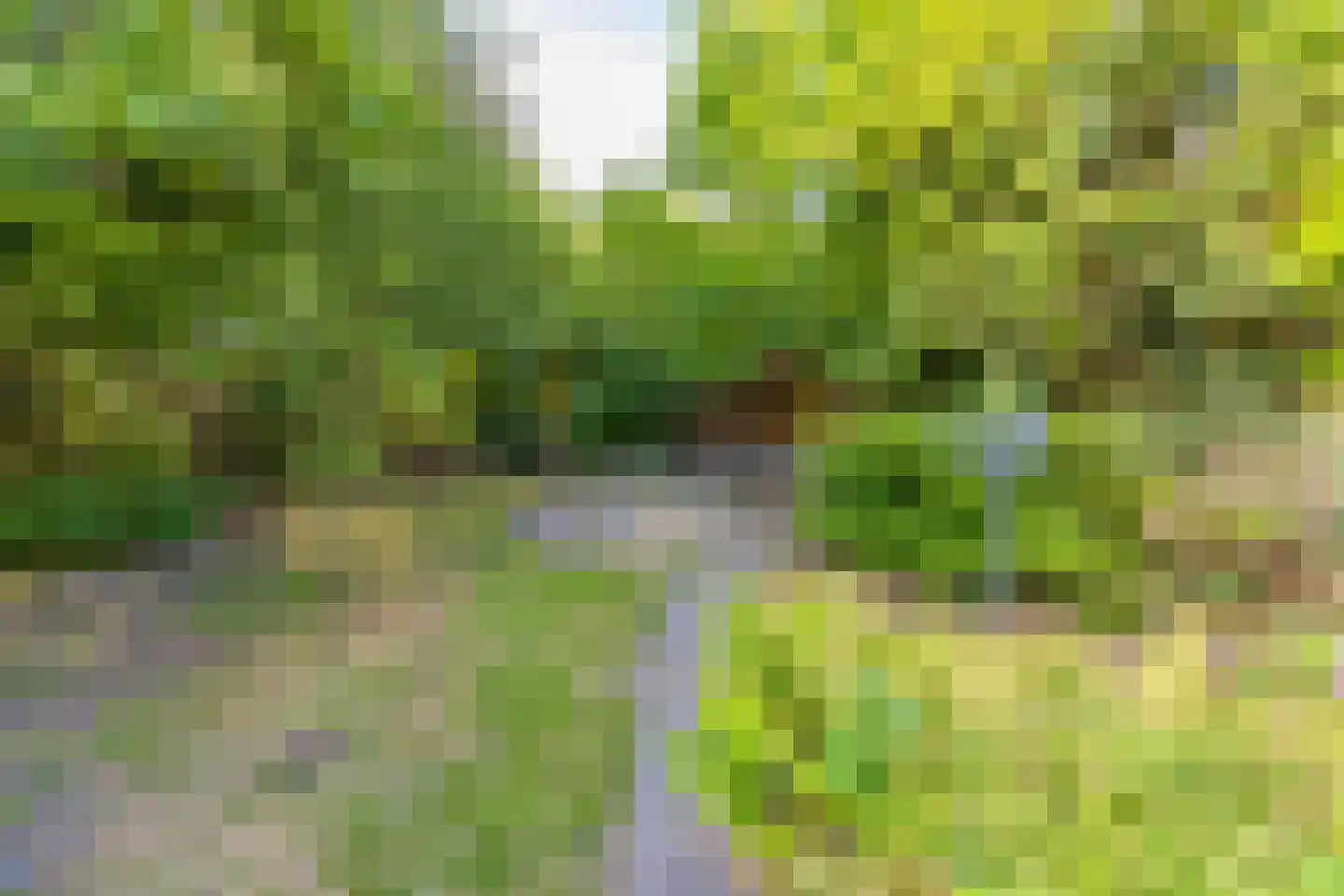 Weerdingerkanaal NZ 64 Nieuw-Weerdinge thumbnail 41