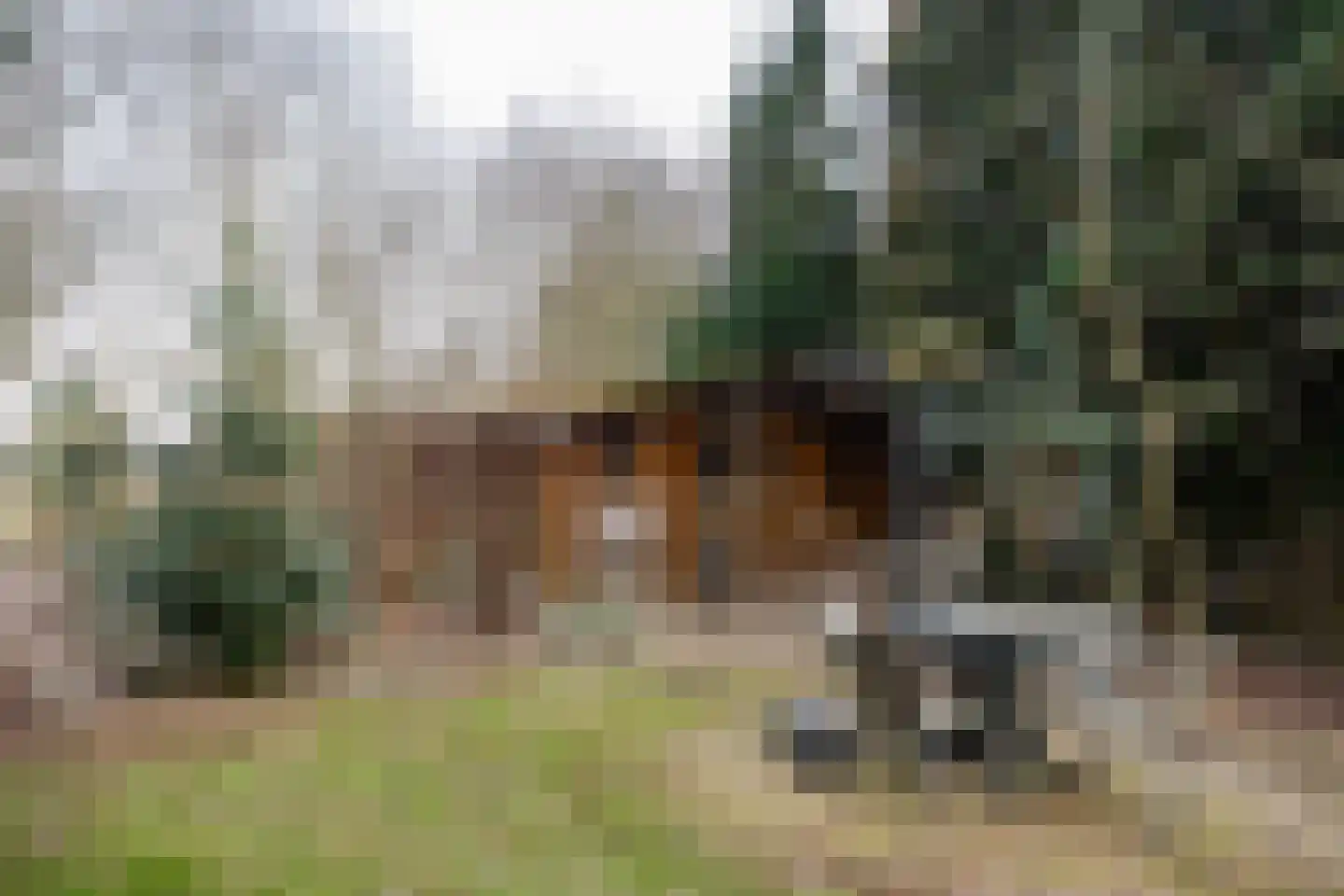 Weerdingerkanaal NZ 64 Nieuw-Weerdinge thumbnail 48