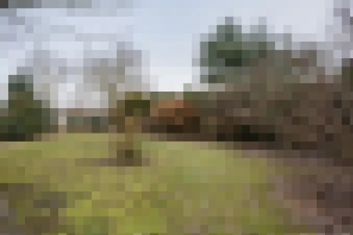 Weerdingerkanaal NZ 64 Nieuw-Weerdinge thumbnail 49