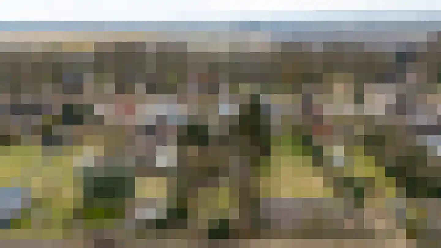 Weerdingerkanaal NZ 64 Nieuw-Weerdinge thumbnail 50
