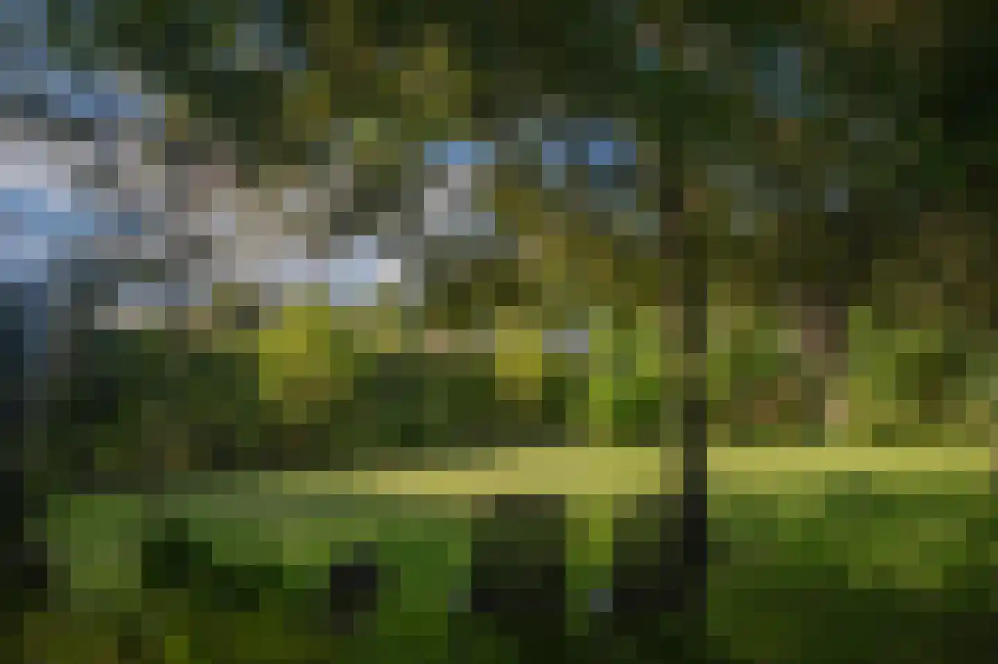 Weerdingerkanaal ZZ 172 Nieuw-Weerdinge thumbnail 5