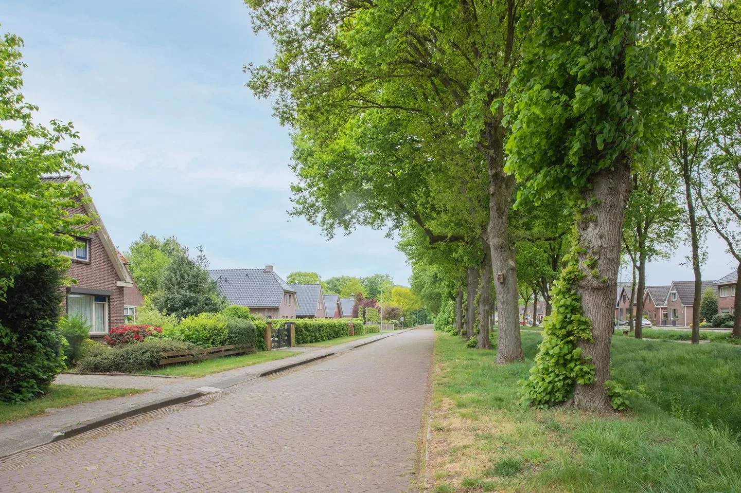 Weerdingerkanaal ZZ 21 Nieuw-Weerdinge thumbnail 6