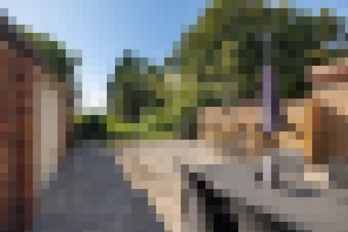 Weerdingerkanaal ZZ 72 Nieuw-Weerdinge thumbnail 39