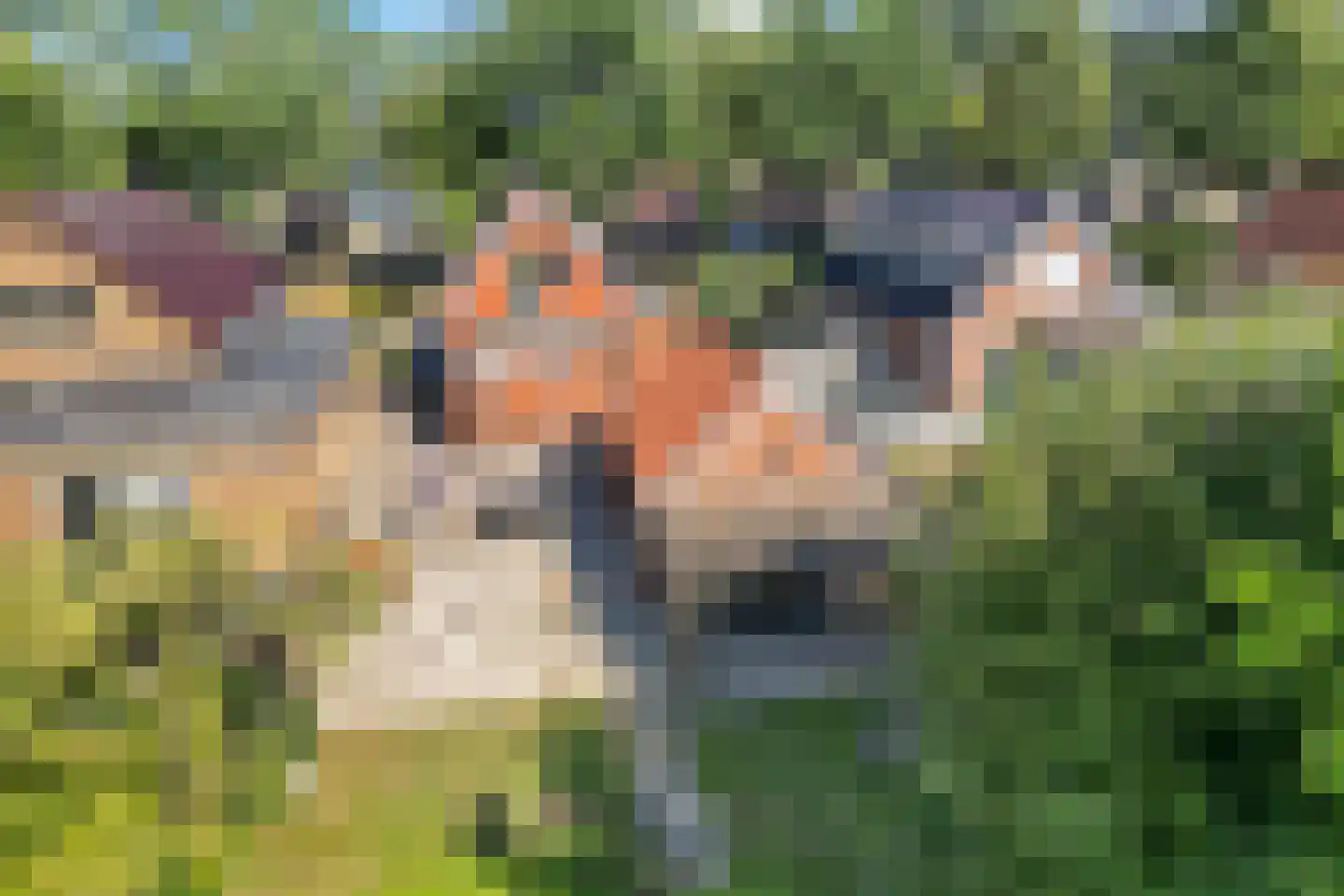Weerdingerkanaal ZZ 72 Nieuw-Weerdinge thumbnail 4