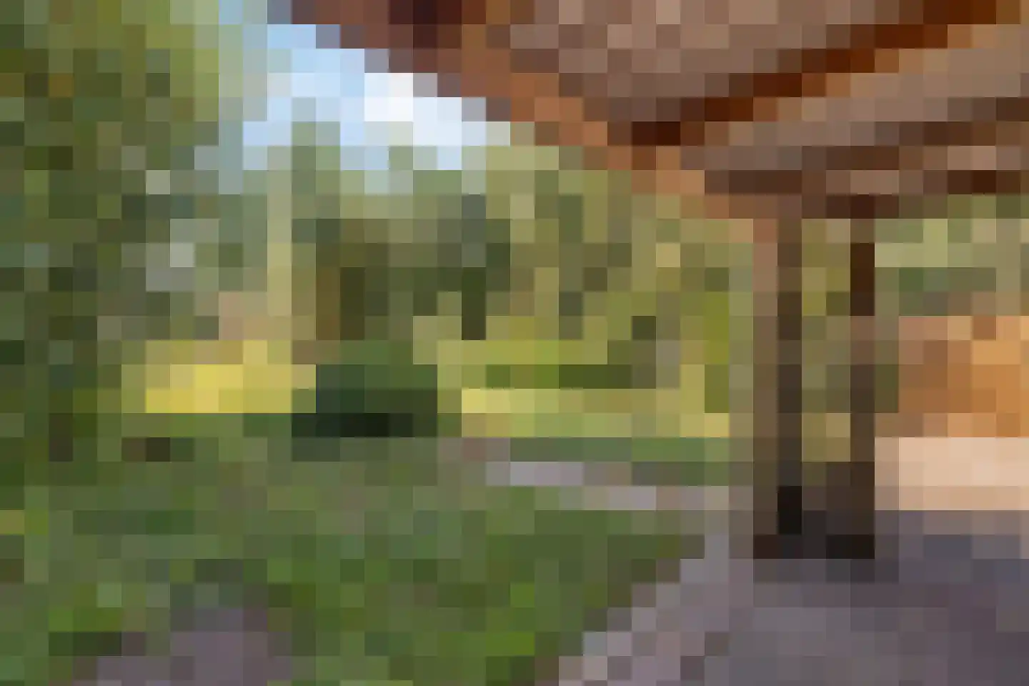 Weerdingerkanaal ZZ 72 Nieuw-Weerdinge thumbnail 40