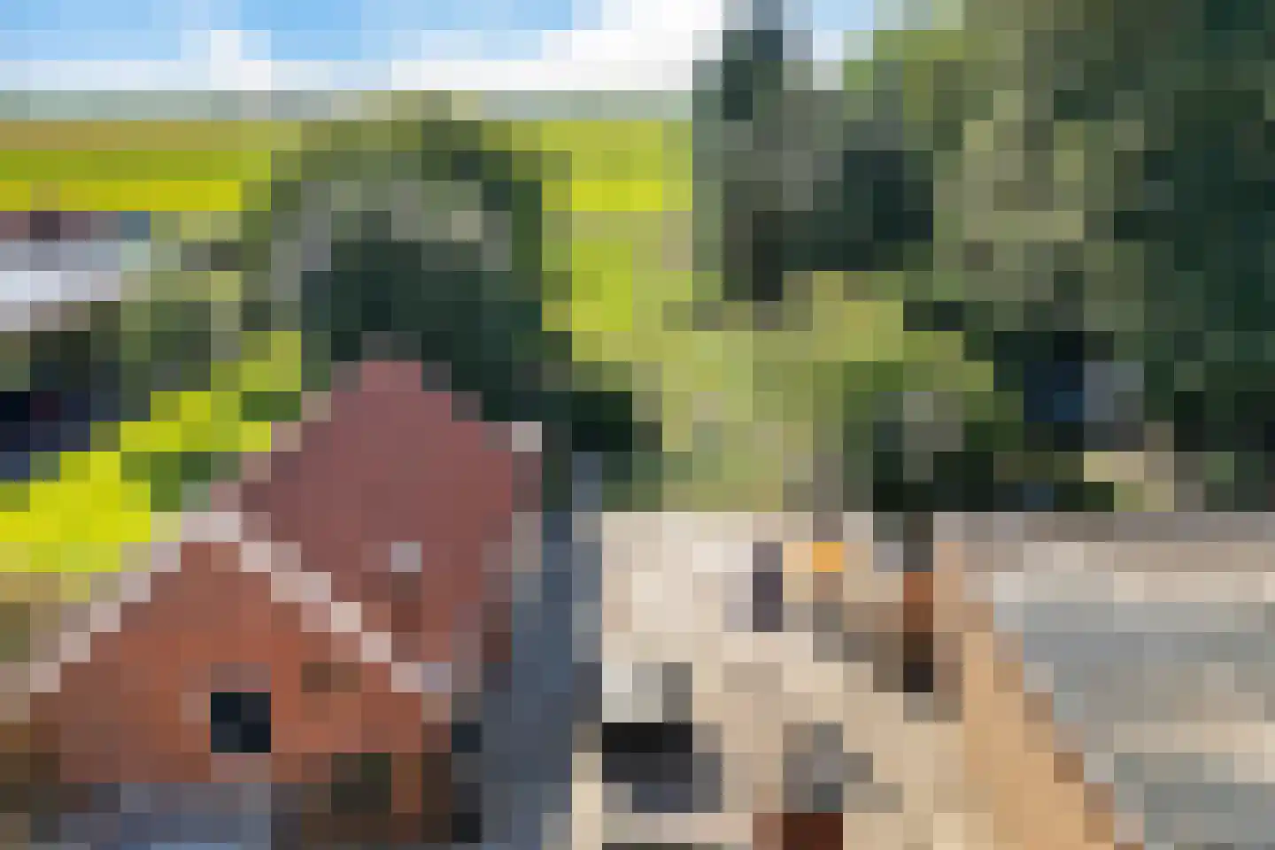 Weerdingerkanaal ZZ 72 Nieuw-Weerdinge thumbnail 5