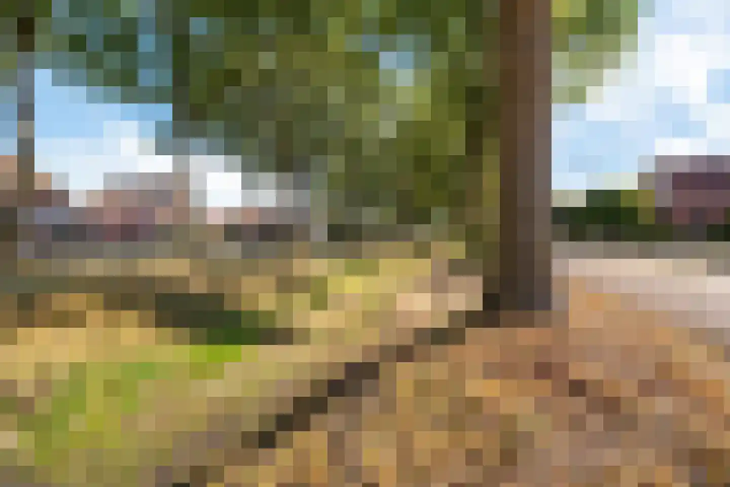 Weerdingerkanaal ZZ 72 Nieuw-Weerdinge thumbnail 6