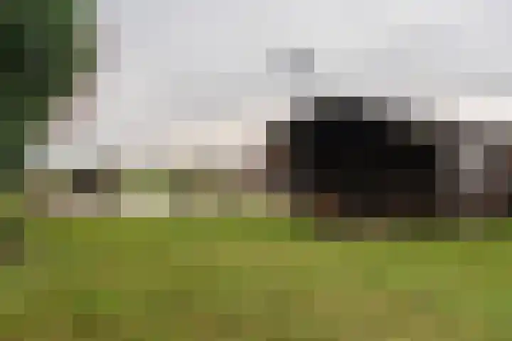 Weerdingerkanaal ZZ 97 Nieuw-Weerdinge thumbnail 4