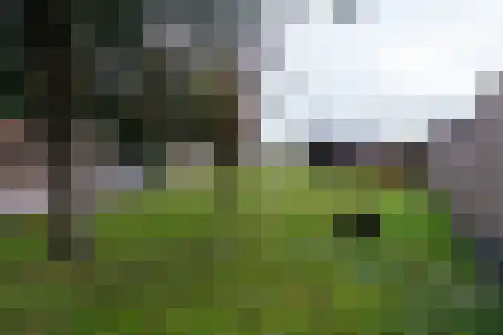 Weerdingerkanaal ZZ 97 Nieuw-Weerdinge thumbnail 41