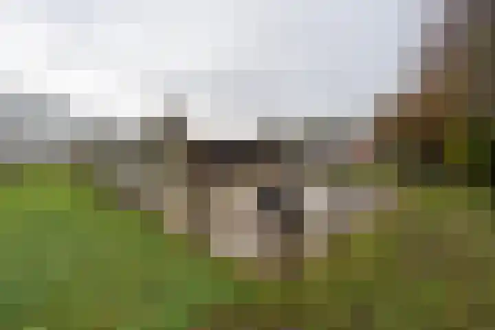 Weerdingerkanaal ZZ 97 Nieuw-Weerdinge thumbnail 47