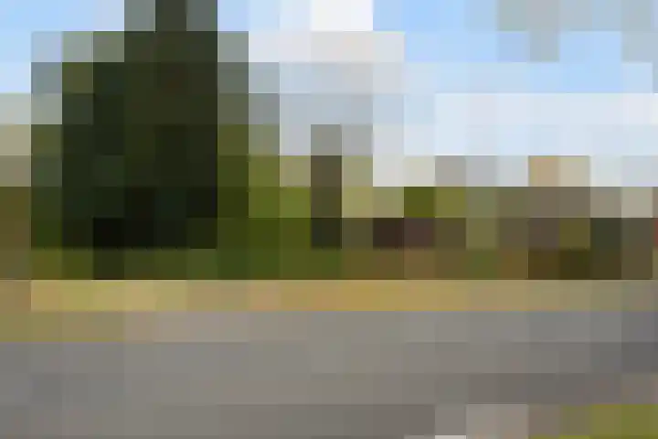 Weerdingerstraat 167 Emmen thumbnail 8