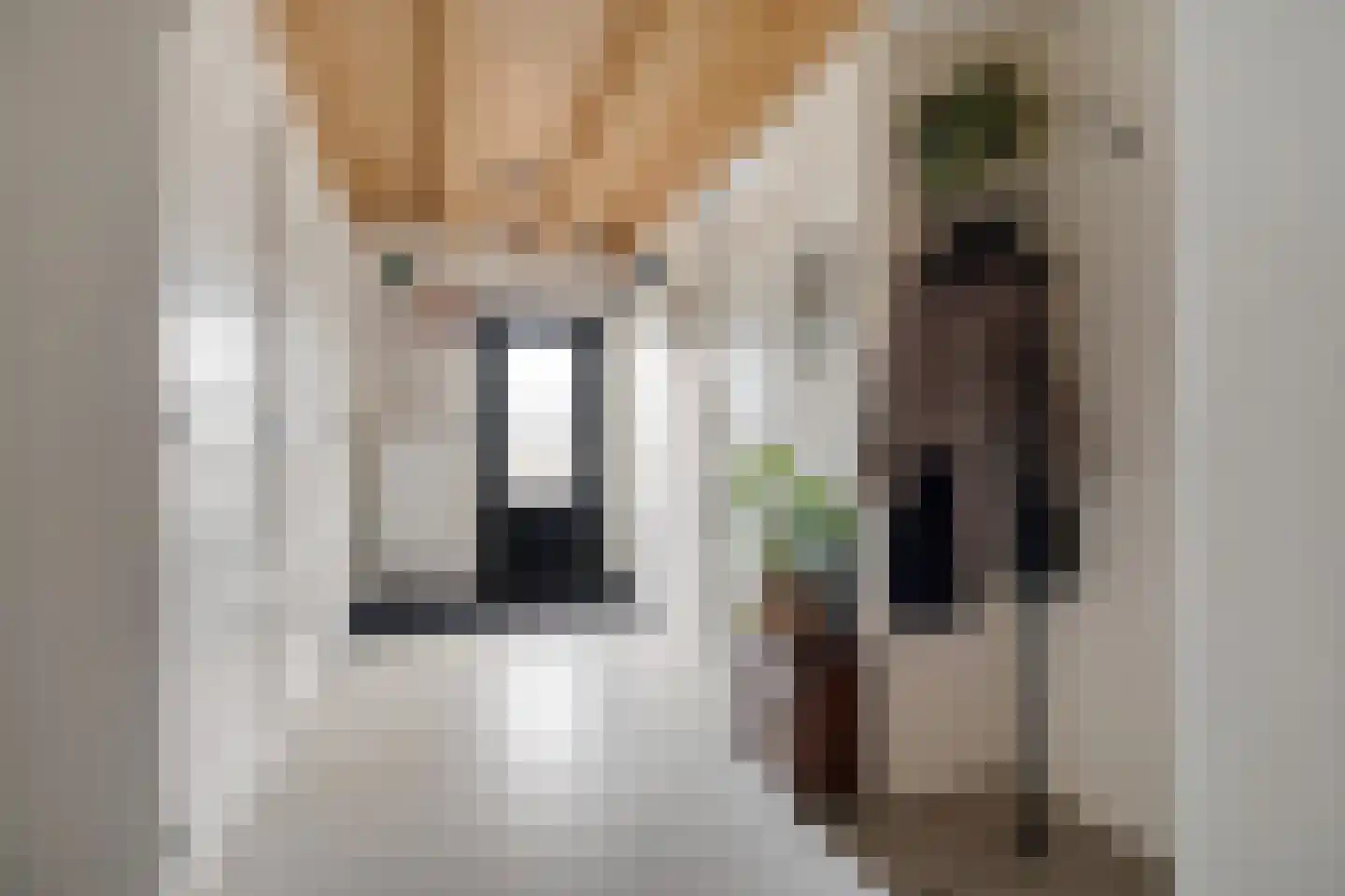 Weerdingerstraat 171 Emmen thumbnail 21