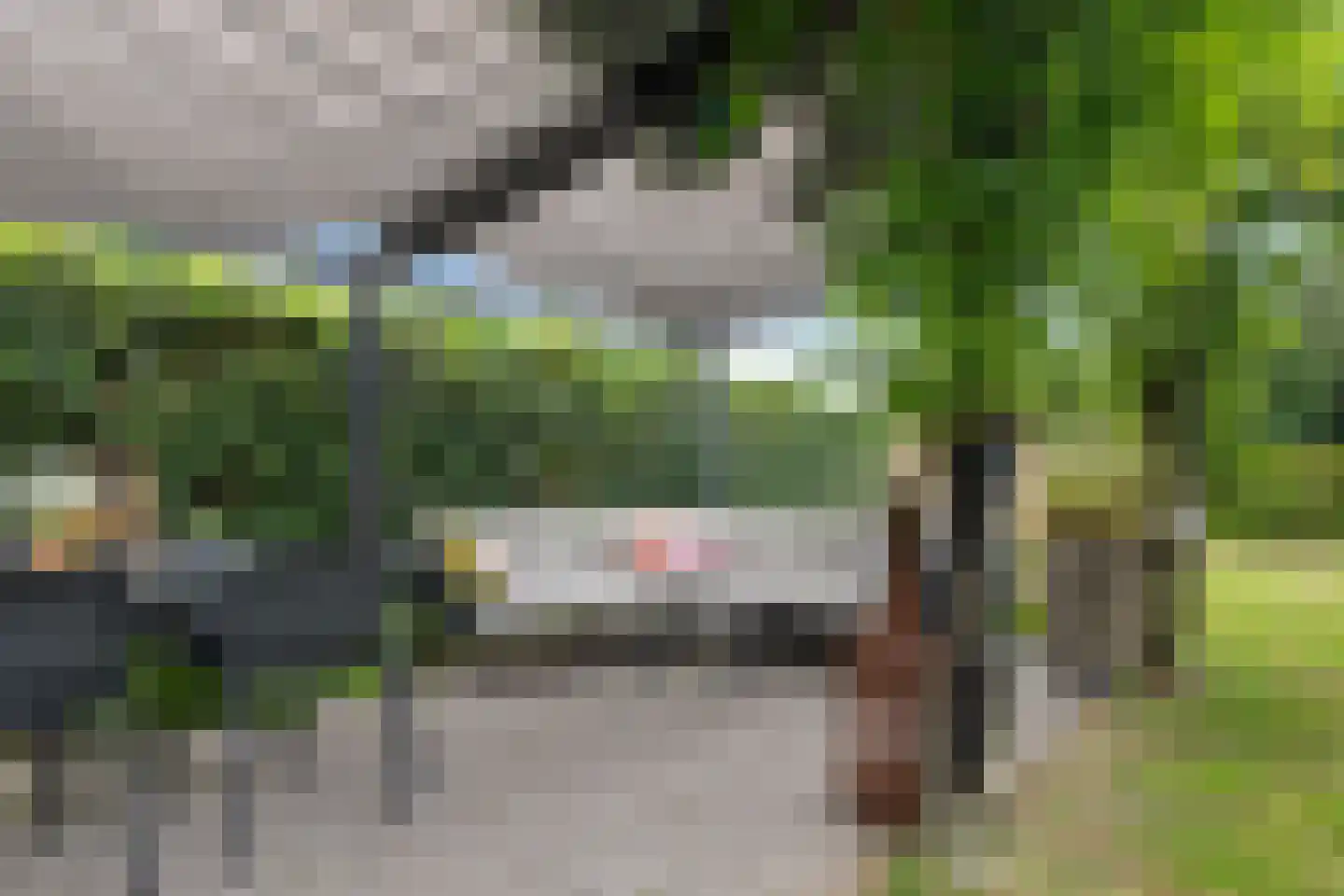 Weerdingerstraat 171 Emmen thumbnail 42