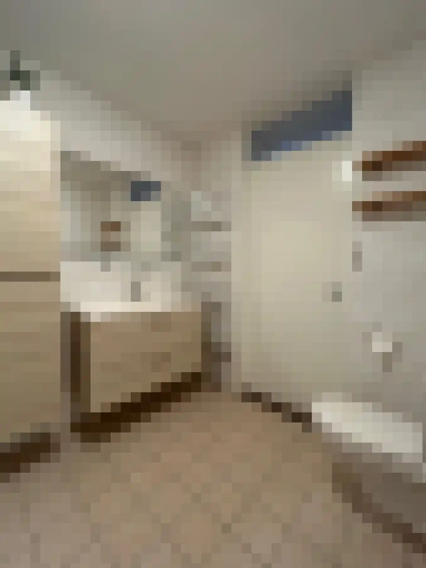 Weerdingerstraat 238 Emmen thumbnail 24