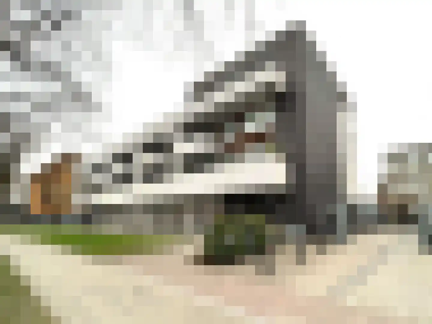Weerdingerstraat 238 Emmen thumbnail 35