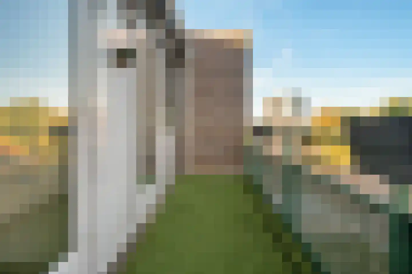Weerdingerstraat 249 G Emmen thumbnail 33