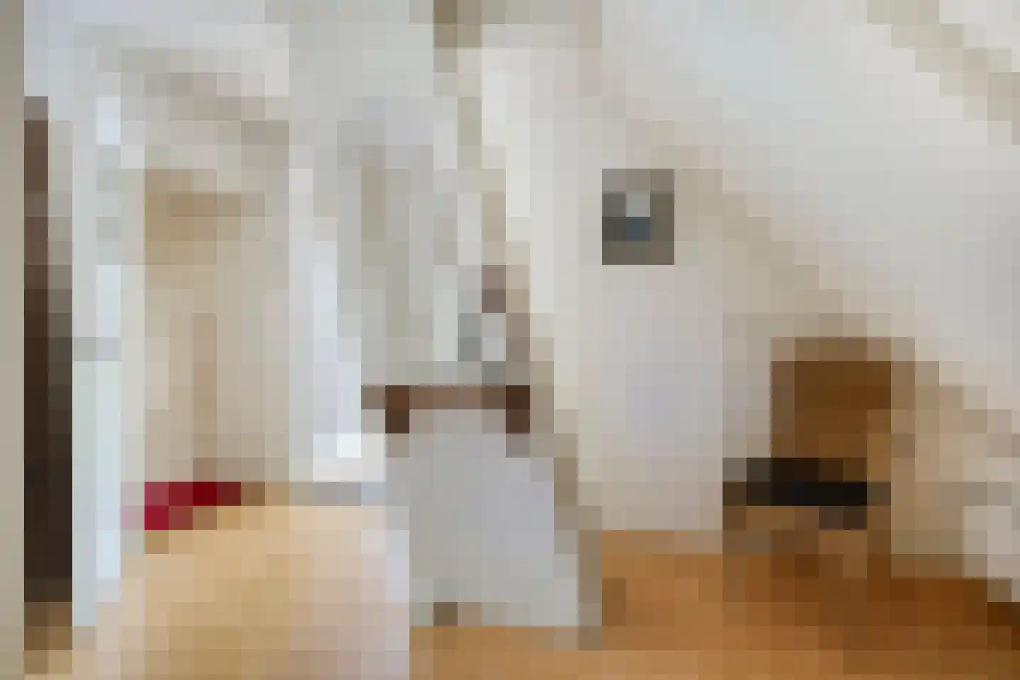 Weerdingerstraat 40 Emmen thumbnail 38