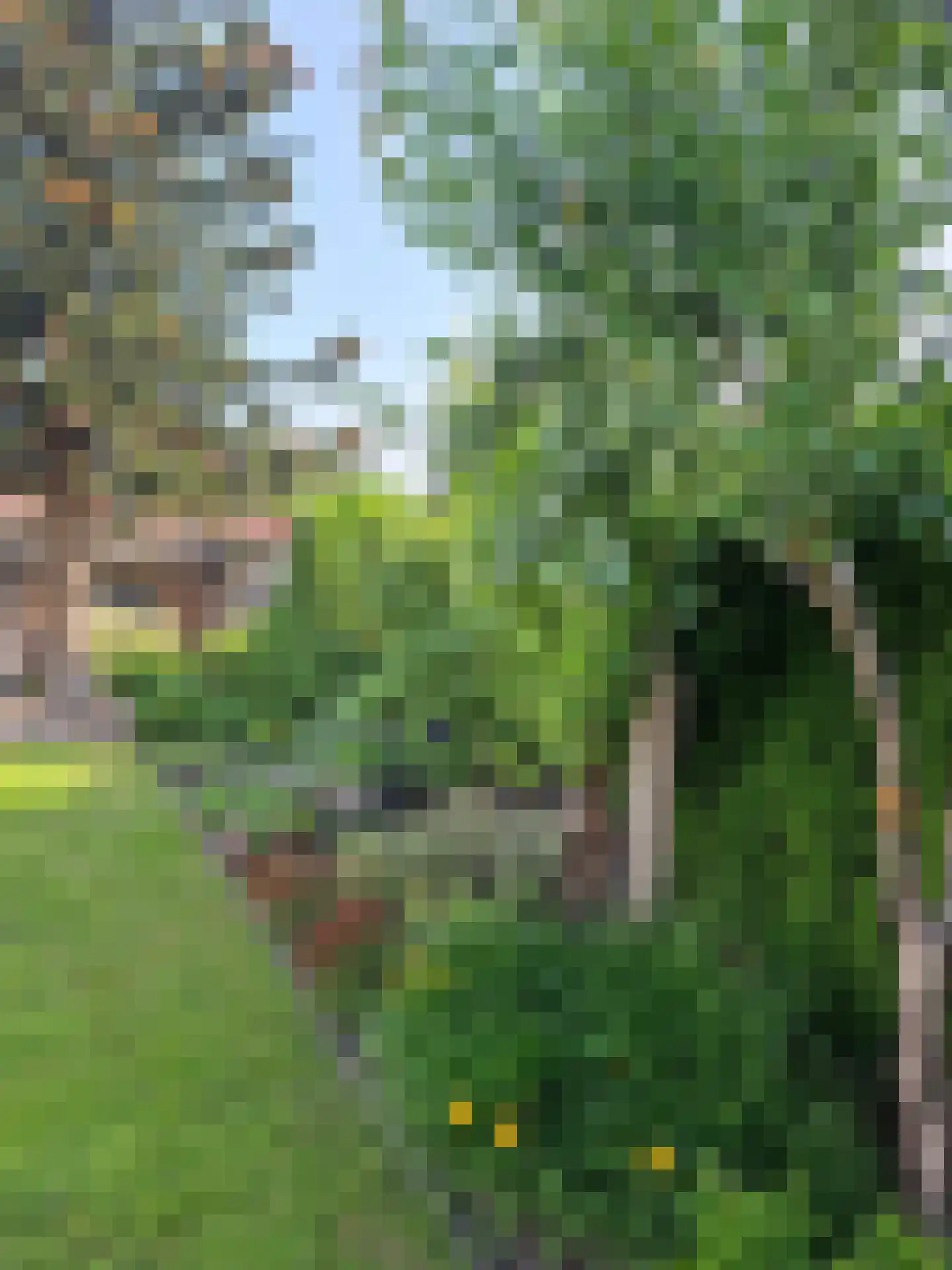 Weerdingerstraat 40 Emmen thumbnail 52