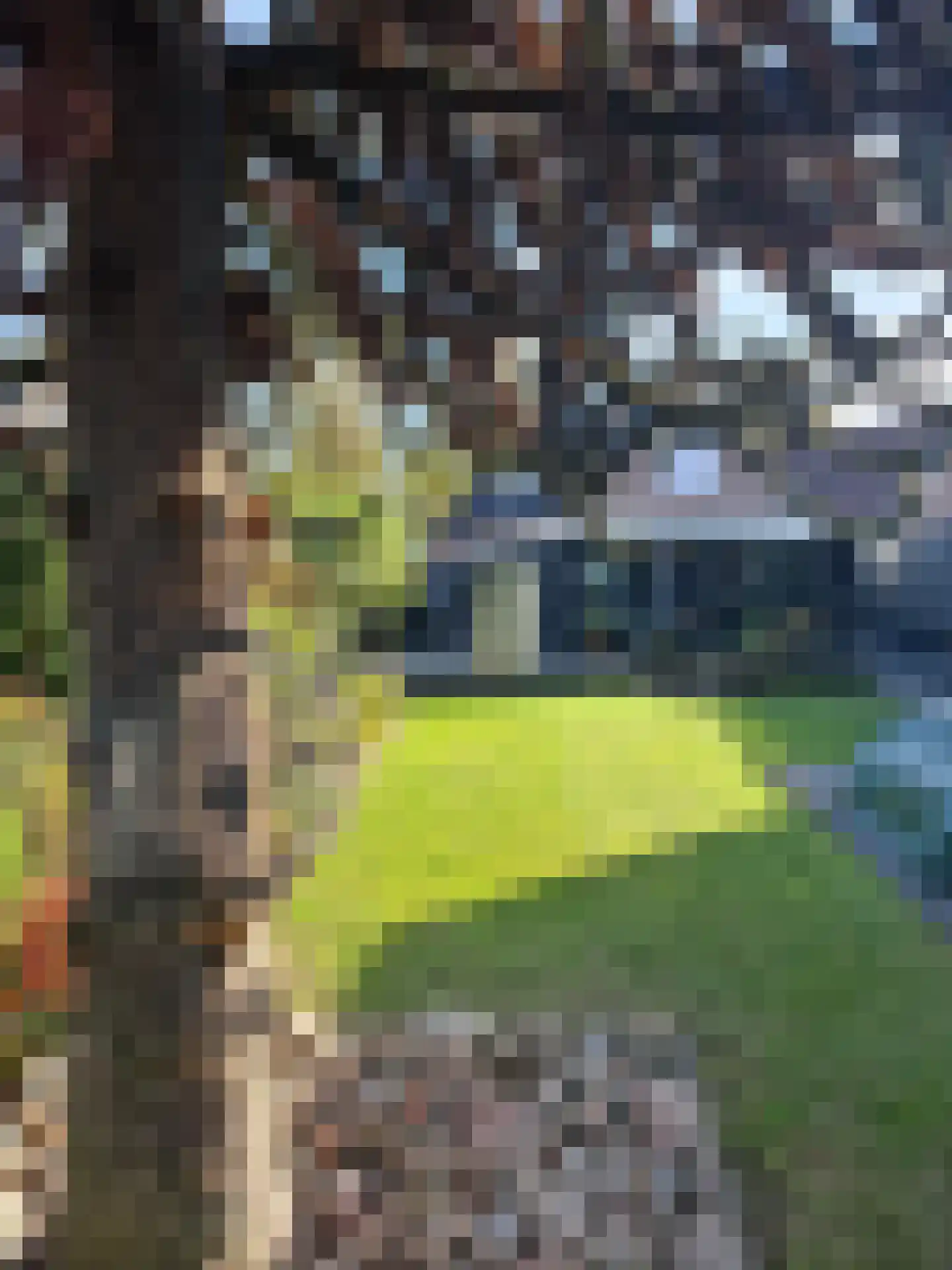 Weerdingerstraat 40 Emmen thumbnail 55