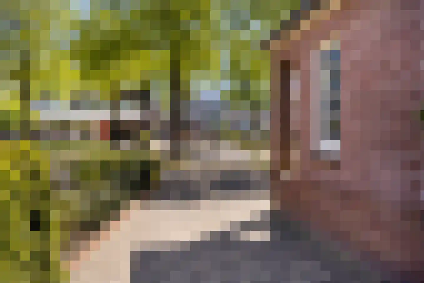 Weerdingerstraat 40 Emmen thumbnail 59
