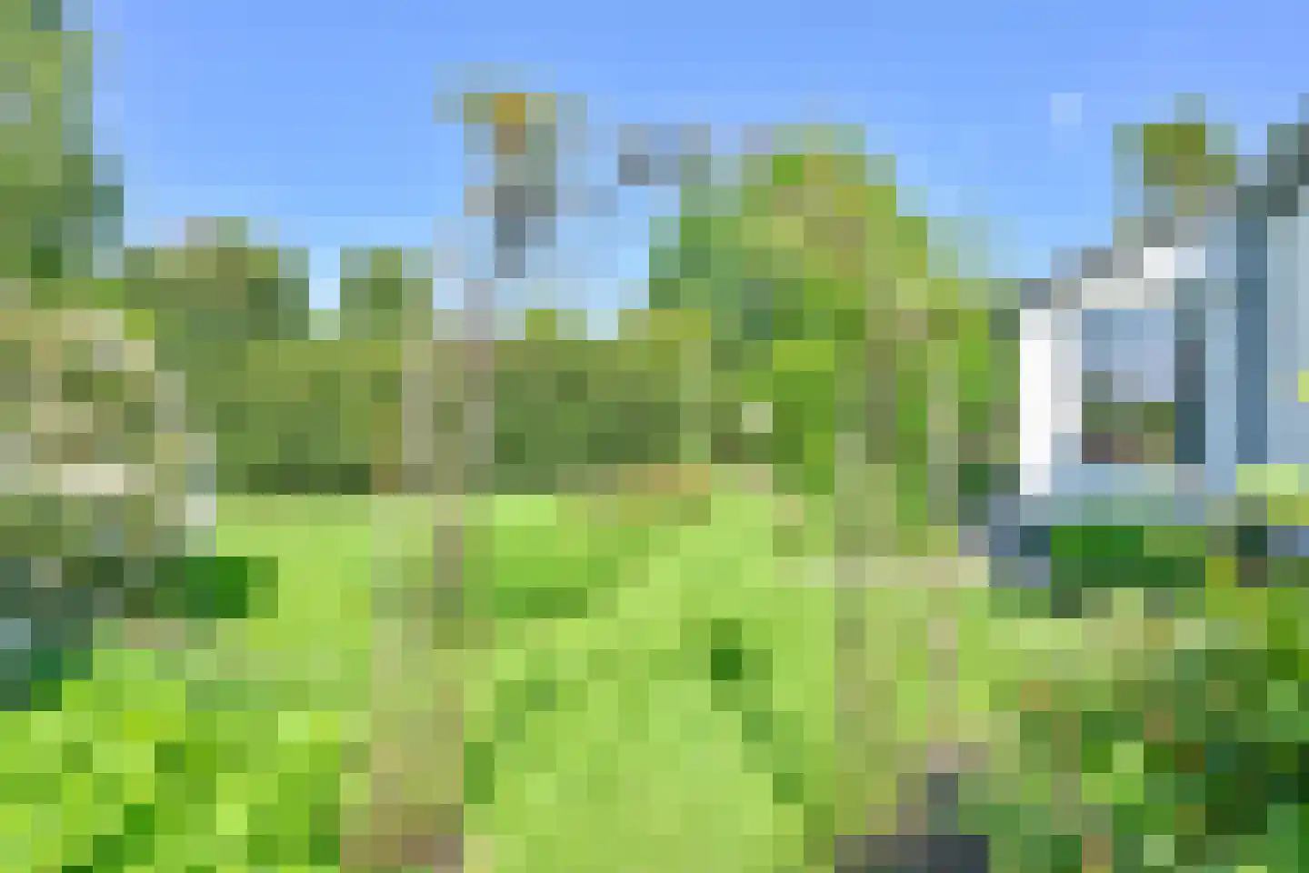 Weerdingerweg 7 Valthe thumbnail 10