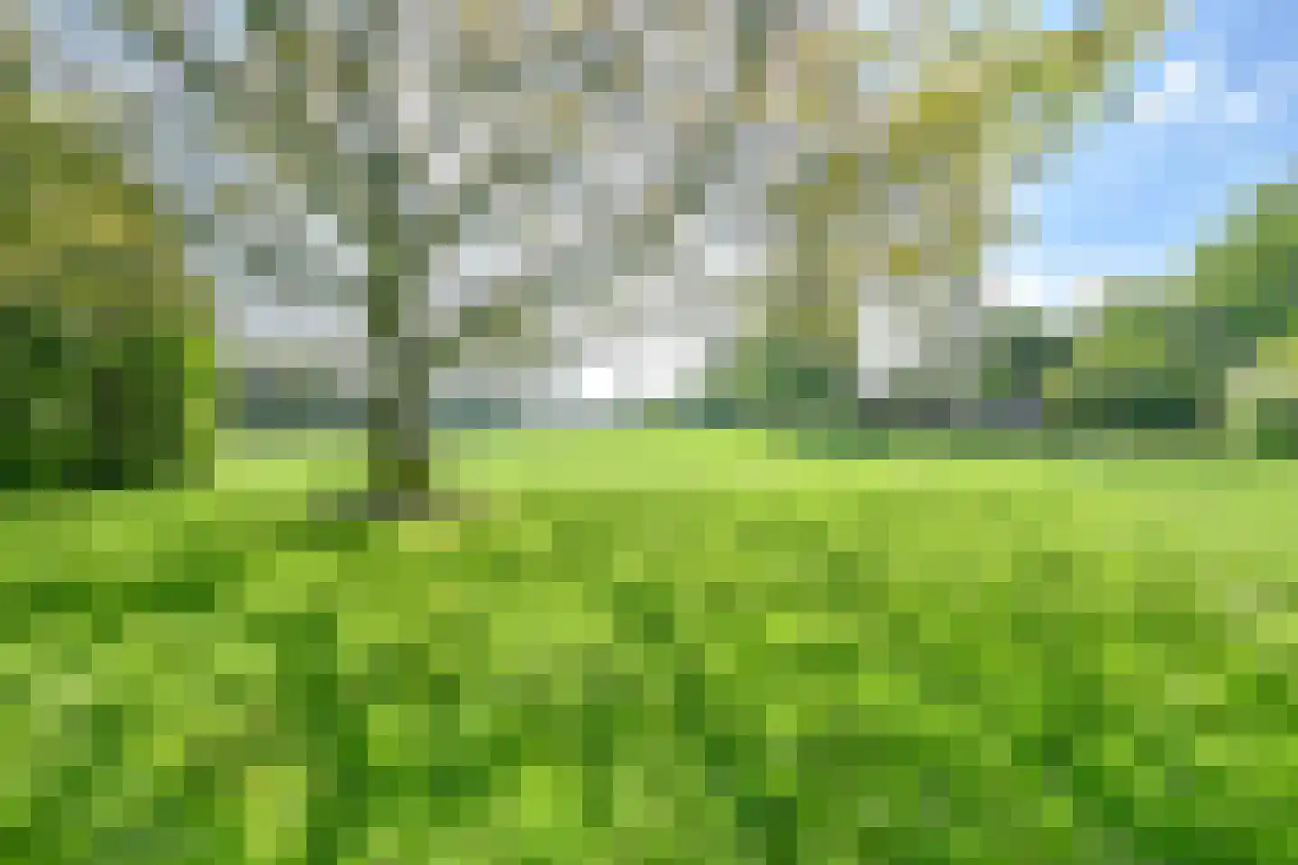 Weerdingerweg 7 Valthe thumbnail 113