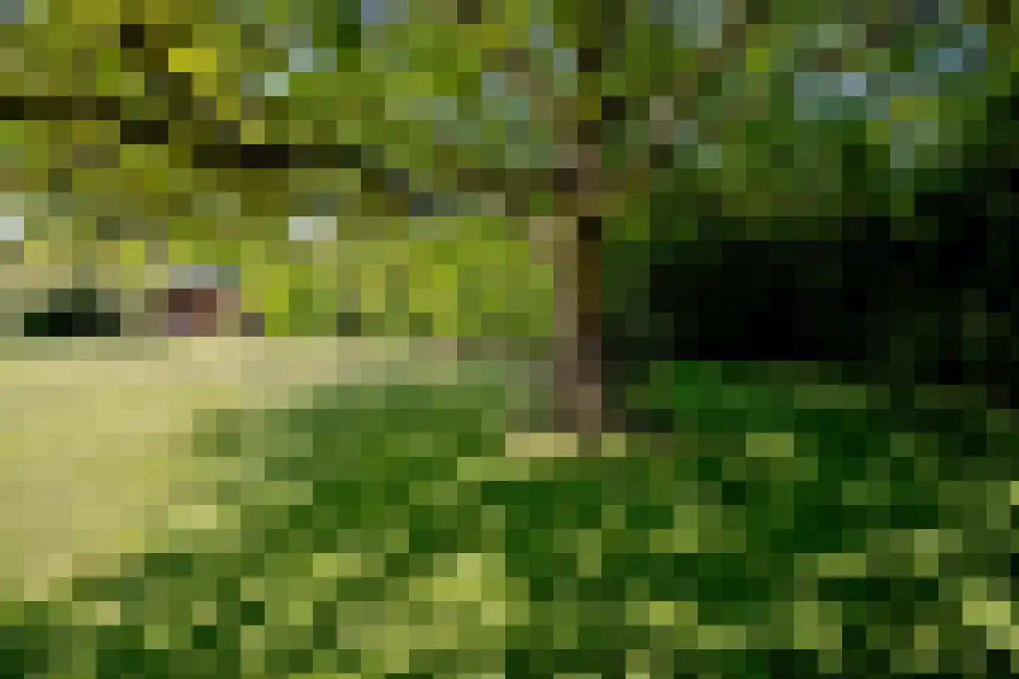 Weerdingerweg 7 Valthe thumbnail 114