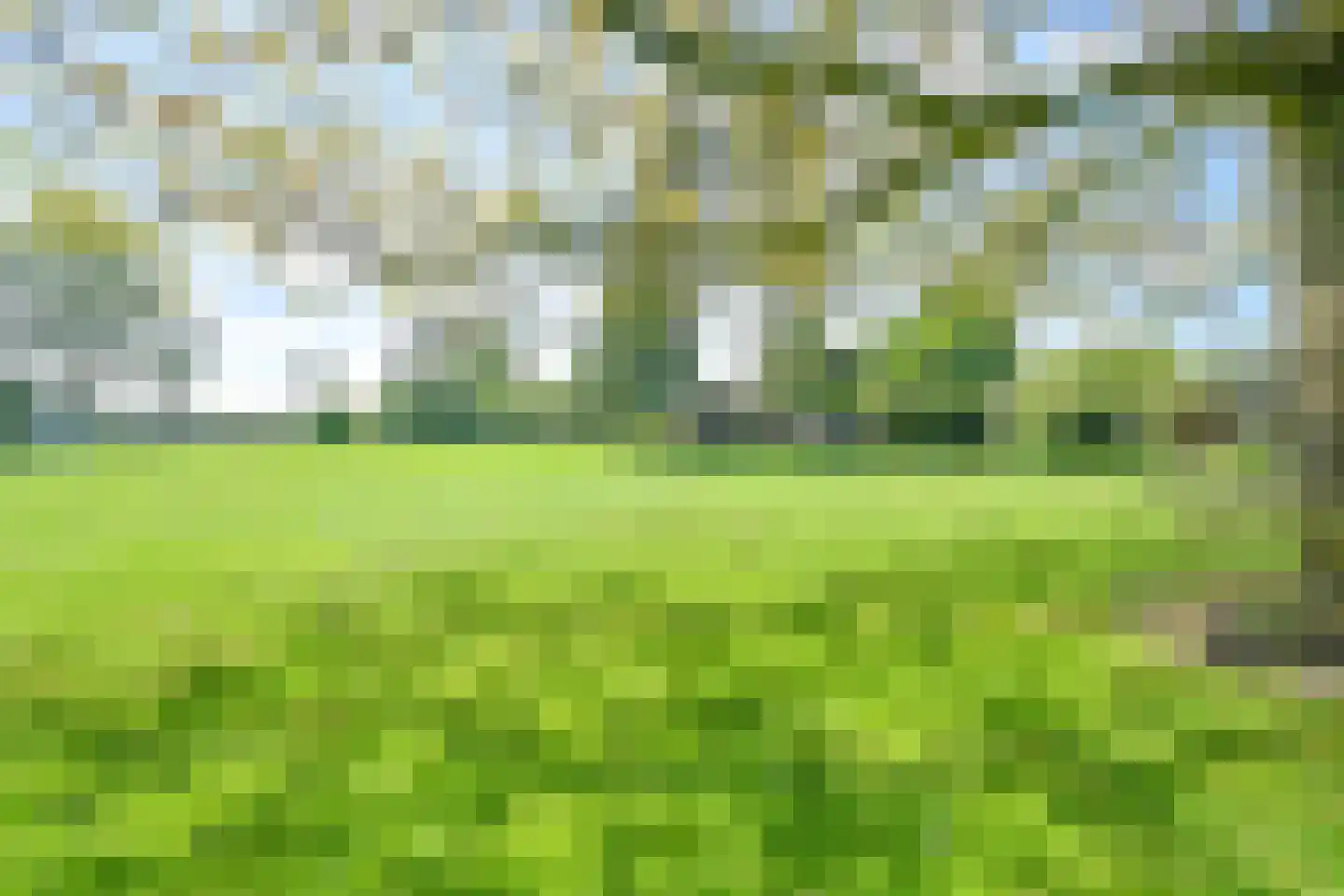 Weerdingerweg 7 Valthe thumbnail 115