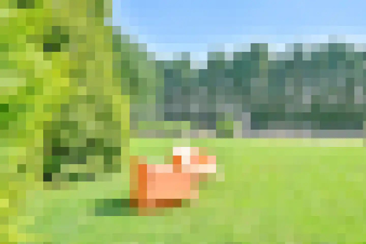 Weerdingerweg 7 Valthe thumbnail 118