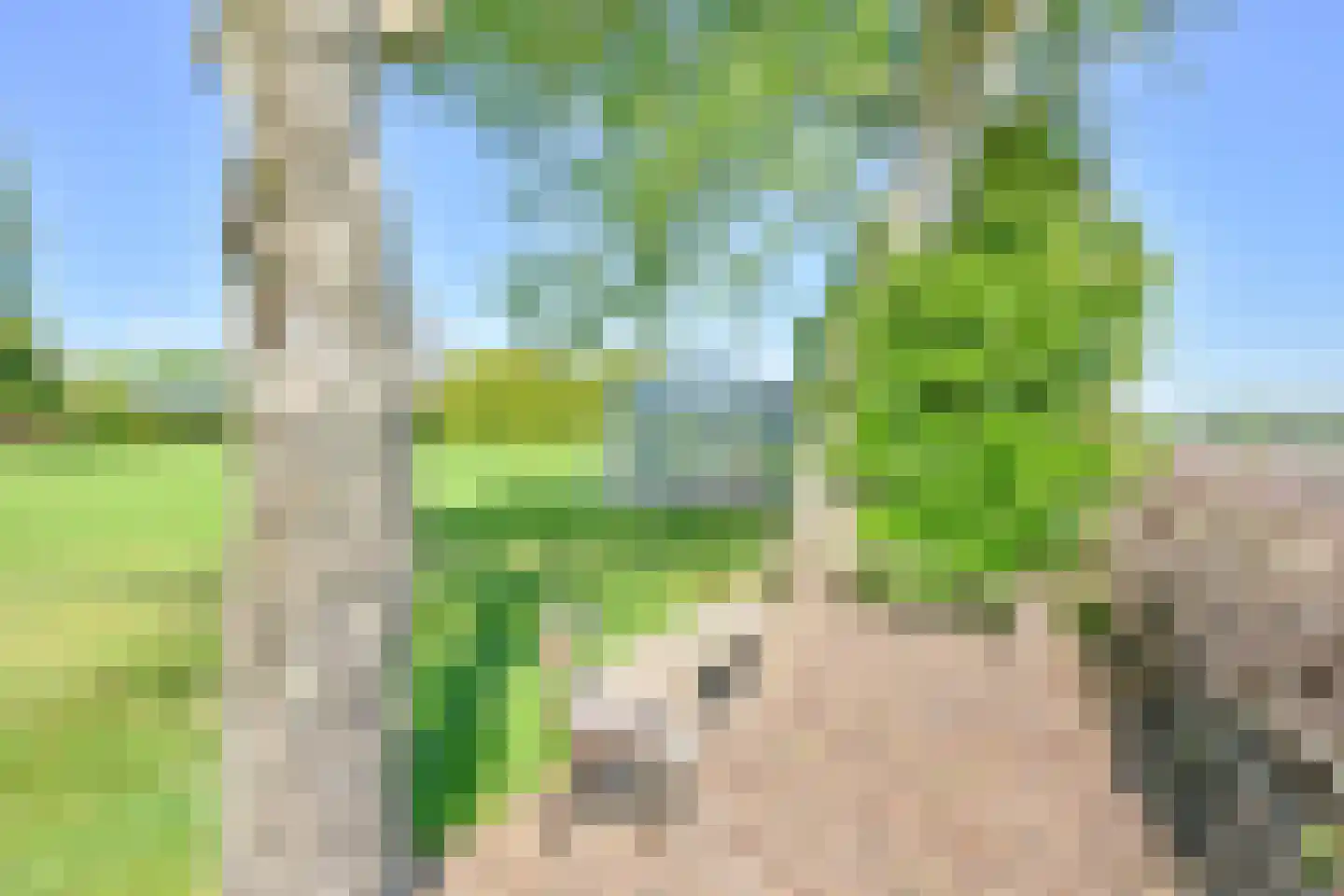 Weerdingerweg 7 Valthe thumbnail 126