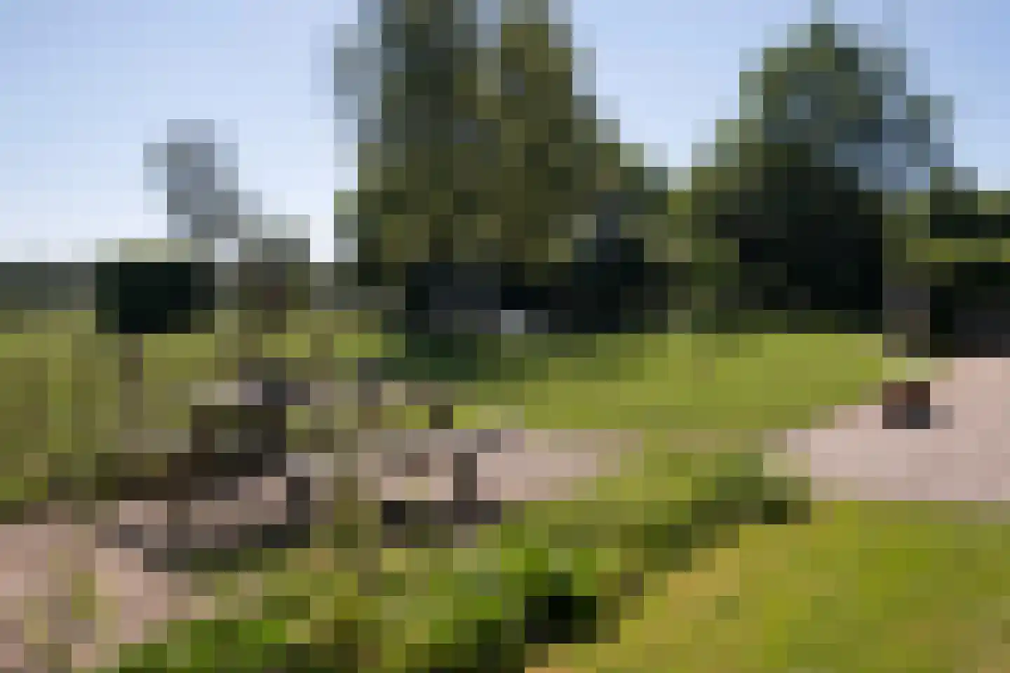 Weerdingerweg 7 Valthe thumbnail 138