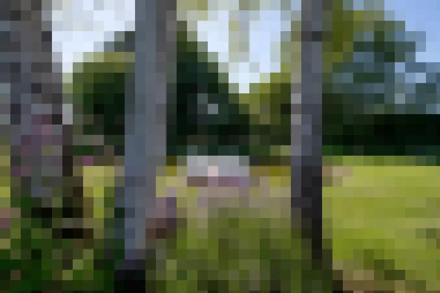 Weerdingerweg 7 Valthe thumbnail 140